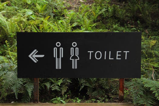  How To Treat Toilet Infection