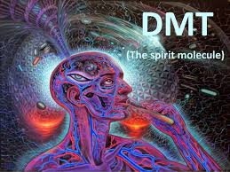 how long does dmt stay in your system