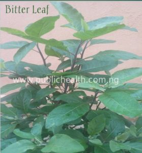 benefits of bitter leave, wonders of bitter leaf , natural remedies , bitter leaves and diabetes