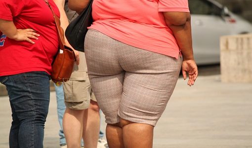 Obesity in America, Obesity, Overweight , fat , excess weight, junk food, corruption, Yoga, exercise, Health promotion, community health care, public health issues, public health department, health care professionals, unhealthy choices