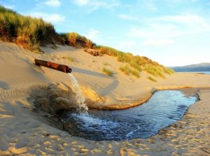 effluent heavy metal contamination, heavy metal in sea water