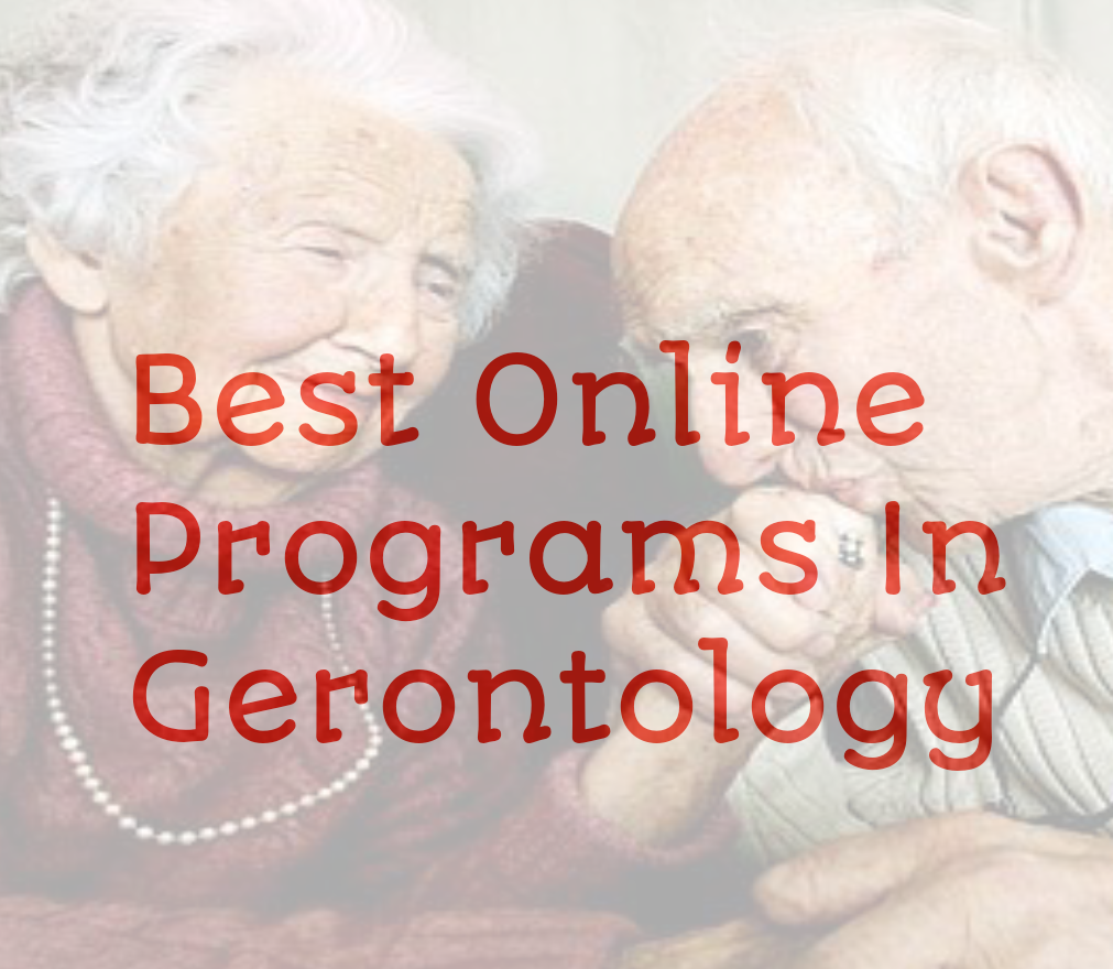 best online gerontology programs
