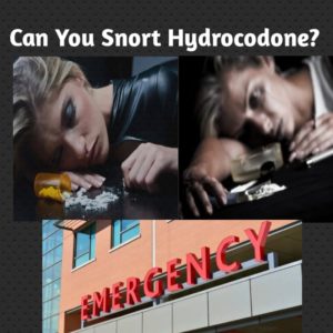 can you snort hydrocodone?