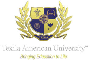 Texila Online University in Nigeria