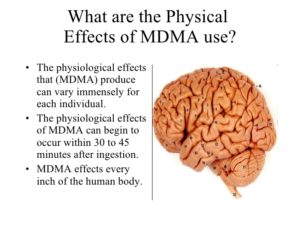 effects of MDMA