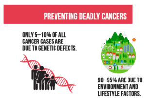 How Does Cancer Develop ?