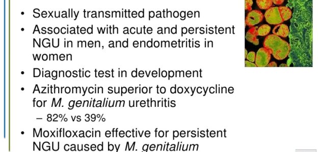 Is Mycoplasma Genitalium An STD?