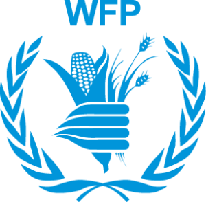 wfp food and nutrition handbook pdf