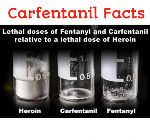 Carfentanil