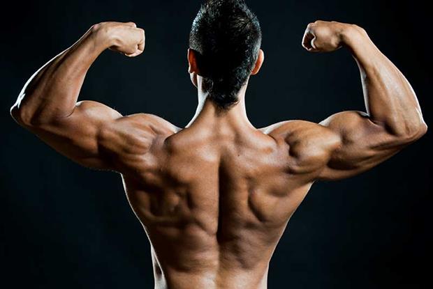 Double Your Profit With These 5 Tips on anabolic steroids injections