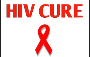 hiv cure
