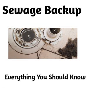 Sewer Backup