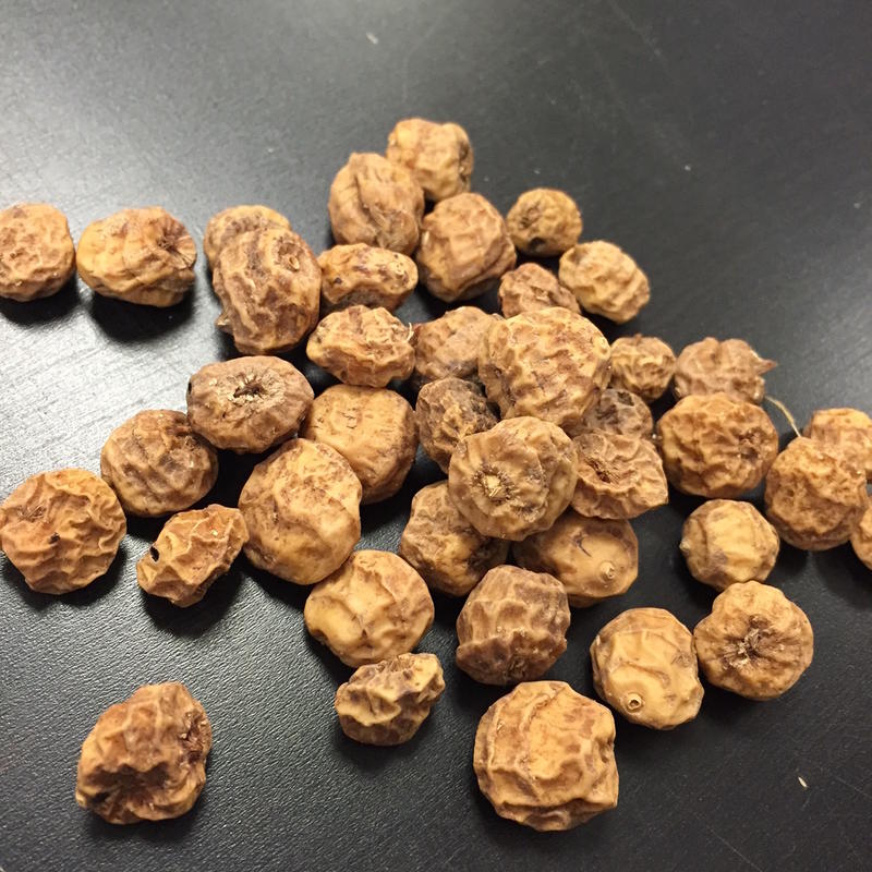 picture of tiger nut