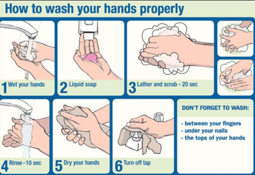 how to wash your hands properly | Public Health