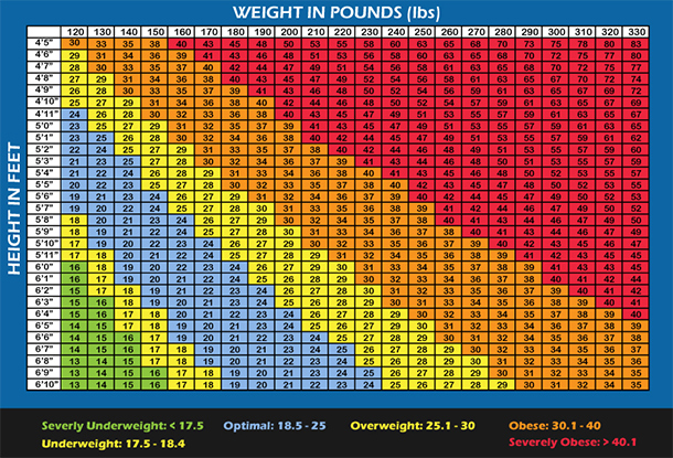 BMI Body Fat Percentage Chart