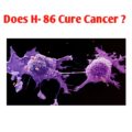 Does H86 Cure Cancer