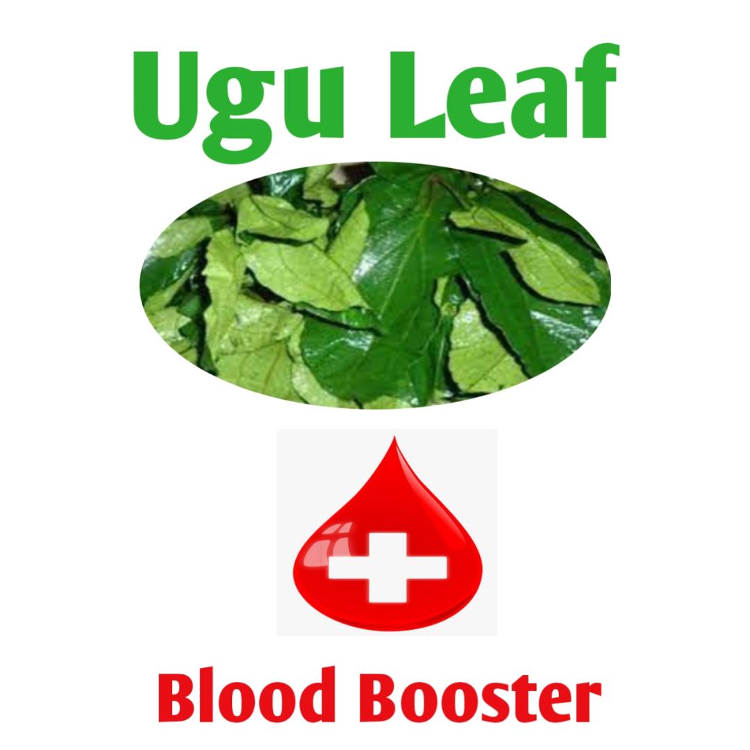 ugu leaf for blood