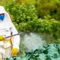 How to Use Pesticides Safely