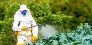 How to Use Pesticides Safely