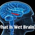 What is Wet Brain