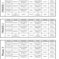 P90X Workout Schedule PDF