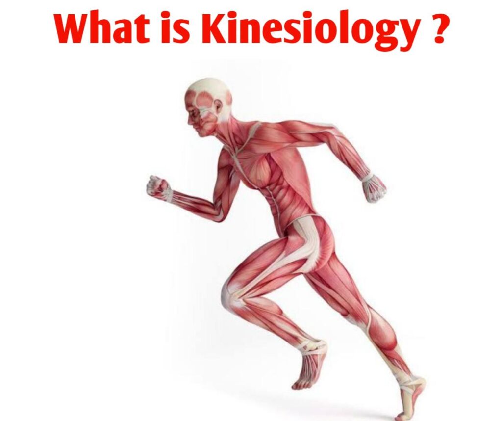 definition essay kinesiology