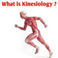 What is Kinesiology