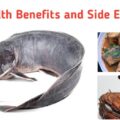 Health Benefits and Side Effects of Catfish