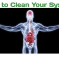 How to Clean Your System