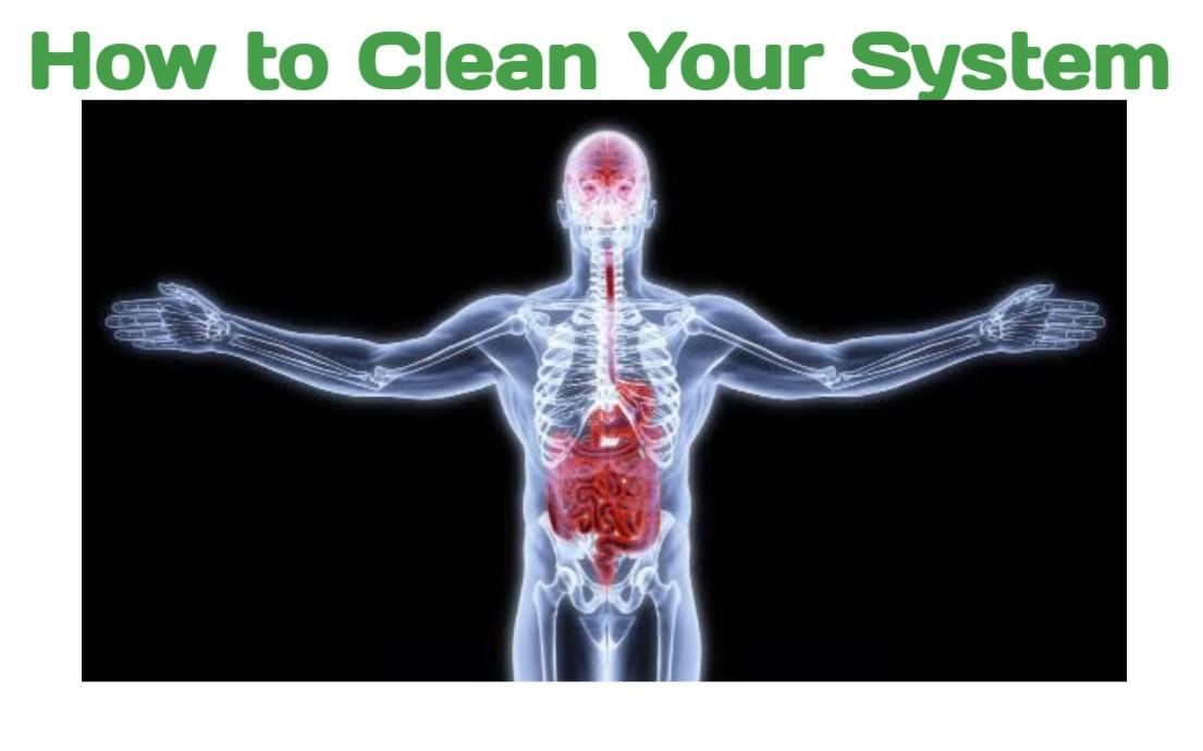 How to Clean Your System