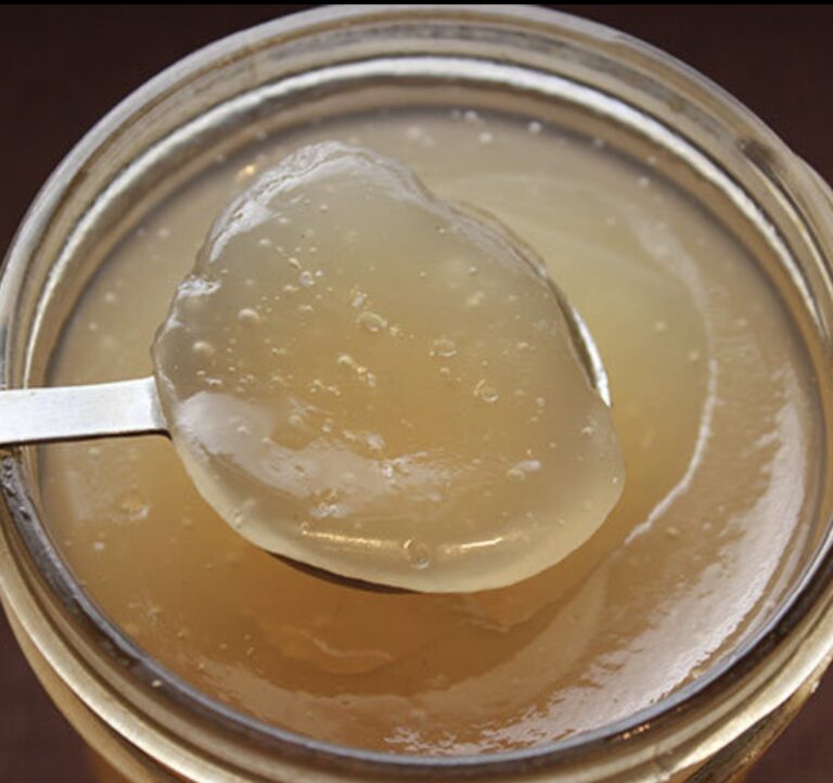 How Long Does Sea Moss Gel Last Public Health