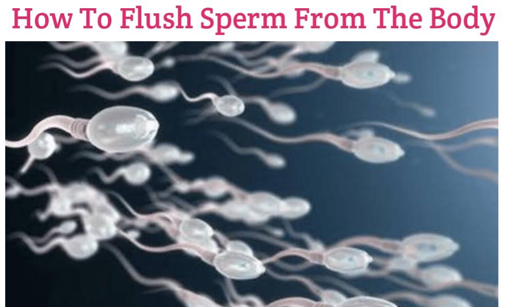 Clean how up semen to 7 Tips