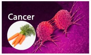 Can Carrot Juice Kill Cancer Cells