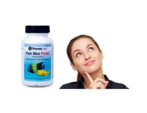 Can Humans Take Fish Antibiotics