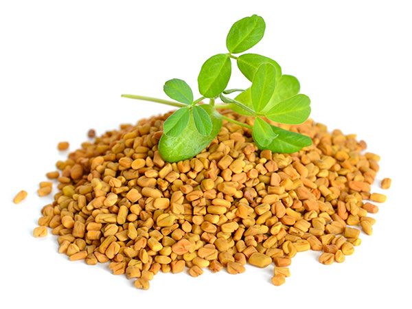 How To Use Fenugreek For Breast Enlargement
