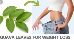 How To Use Guava Leaves For Flat Tummy