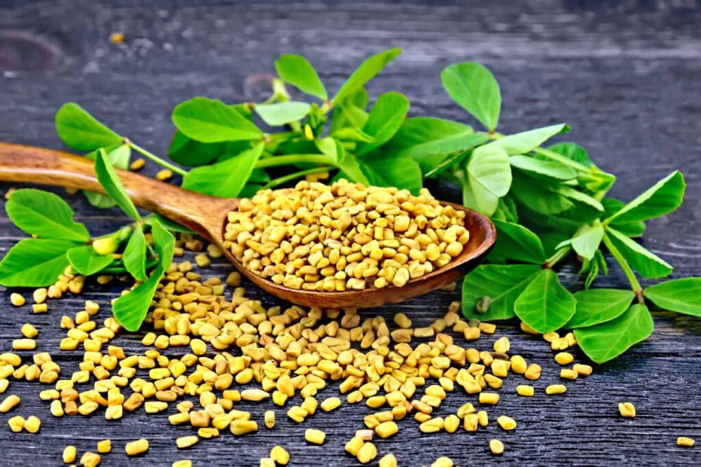 How to Use Fenugreek for Diabetes Public Health