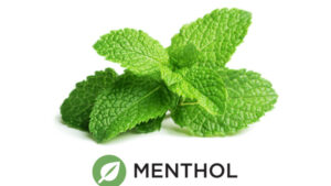 Does Menthol Come From