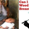 Can You Smoke Weed While Breastfeeding