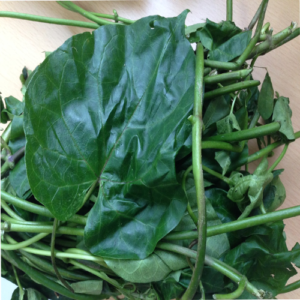 Health Benefits Of Utazi Leaf