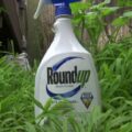 How To Dispose Of Roundup Safely