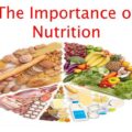 Importance Of Nutrition