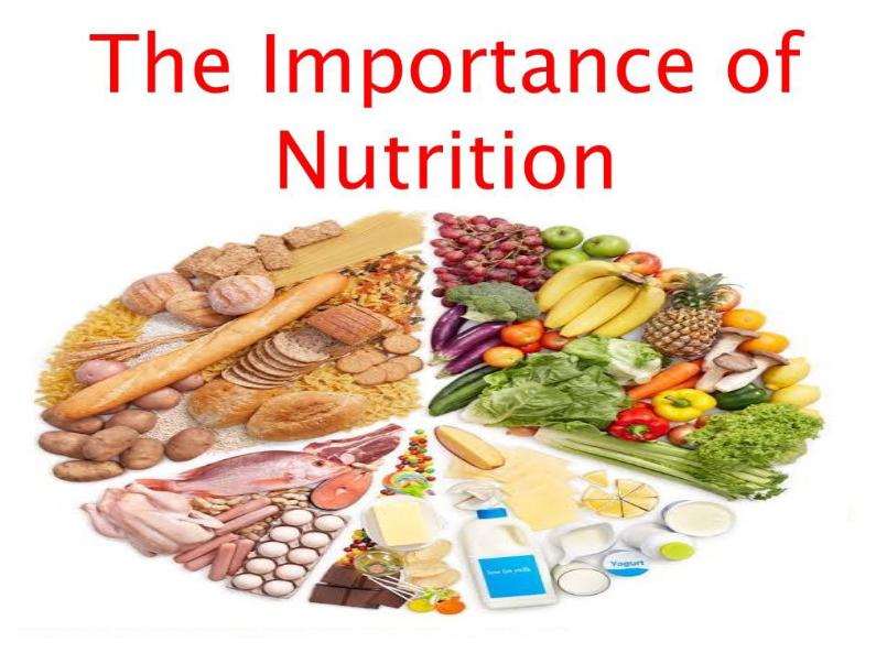 Importance Of Nutrition
