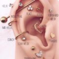 Types Of  Ear Piercings