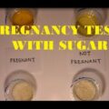Why Sugar Pregnancy Test Didn’t Dissolve Or Clump