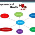 6 components of health