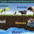 What are Natural Resources