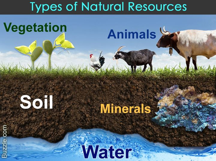 What are Natural Resources