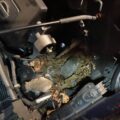 mouse nest in car