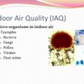 Biological Contamination of Indoor Air Quality